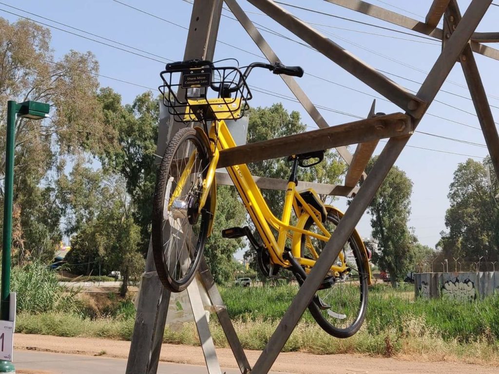 אופניים בפארק - צילום צחי הופמן
